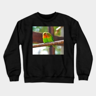 parrots.  a pair of lovers... Crewneck Sweatshirt